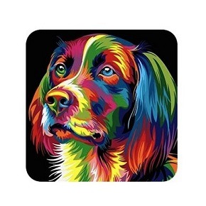 Where can download Splash n Recolor 3 for Mac free